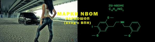 PSILOCYBIN Белокуриха