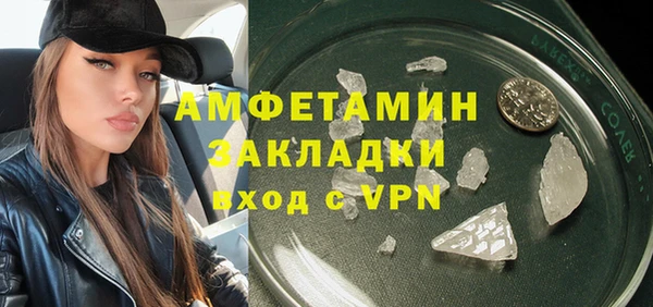 PSILOCYBIN Белокуриха