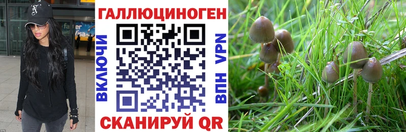 Псилоцибиновые грибы Magic Shrooms Владивосток