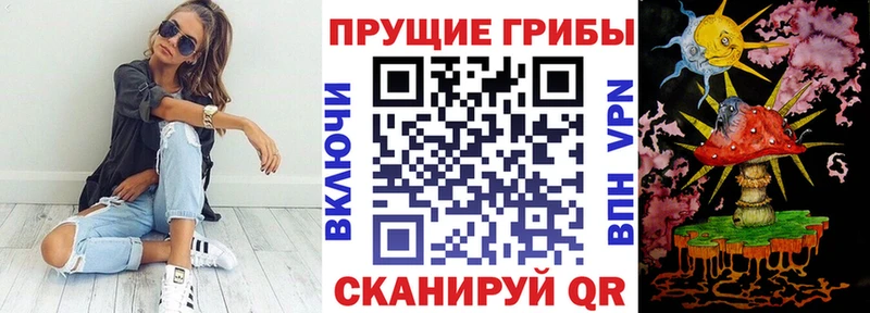 Галлюциногенные грибы Cubensis  Владивосток 
